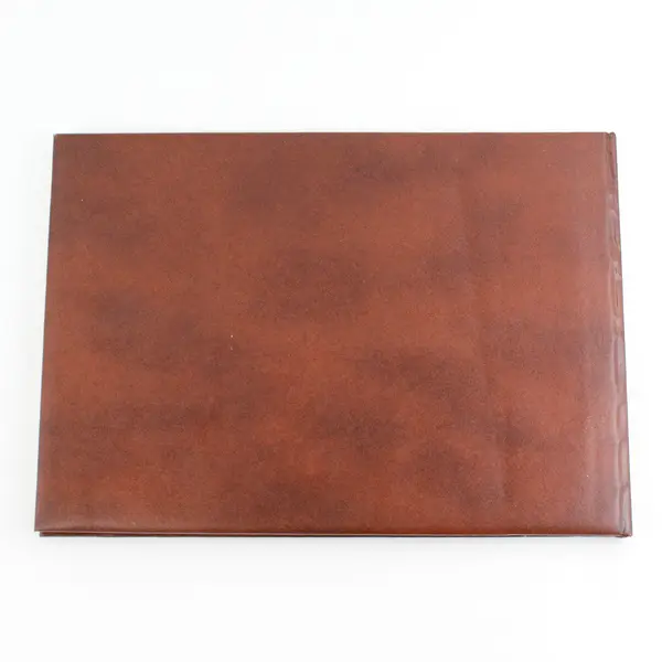 The Fordiana Series The FORD SHOWS by Lorin Sorensen Ltd 1st Edition Press Run