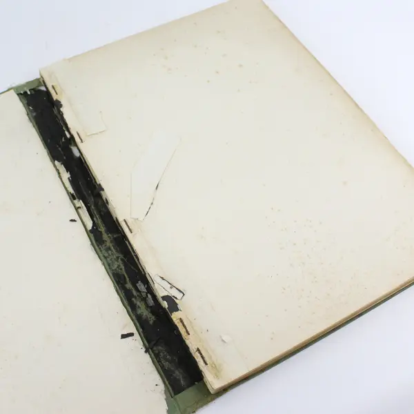  The New Encyclopedic Atlas And Gazetteer Of The World P.F Collier & Son 1914