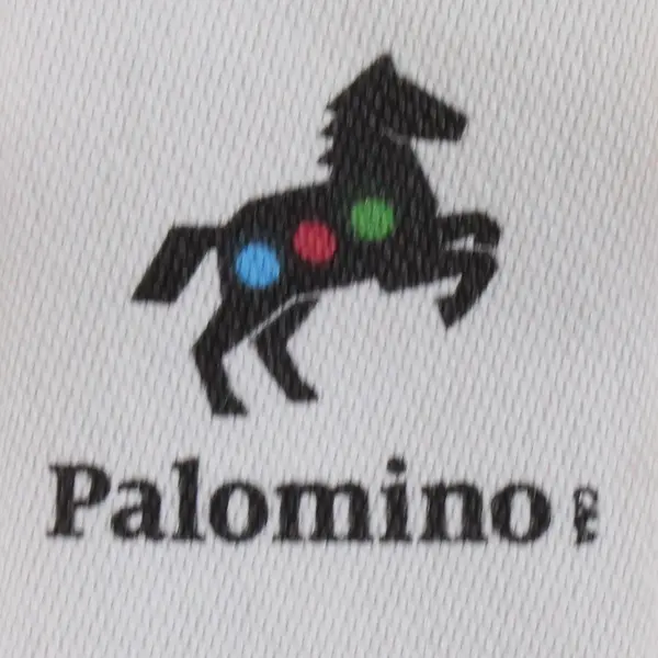 Palomino MP3 T-Rex Orange Graphic T-Shirt Boys' Size 5