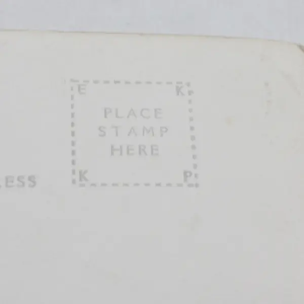 Umpqua Bridge Reedsport Oregon Coast Highway RPPC Postcard 1930s Eddy