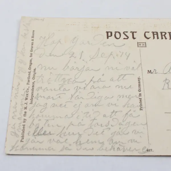 View of Independence Oregon Birds Eye View Color Litho Postcard 1914