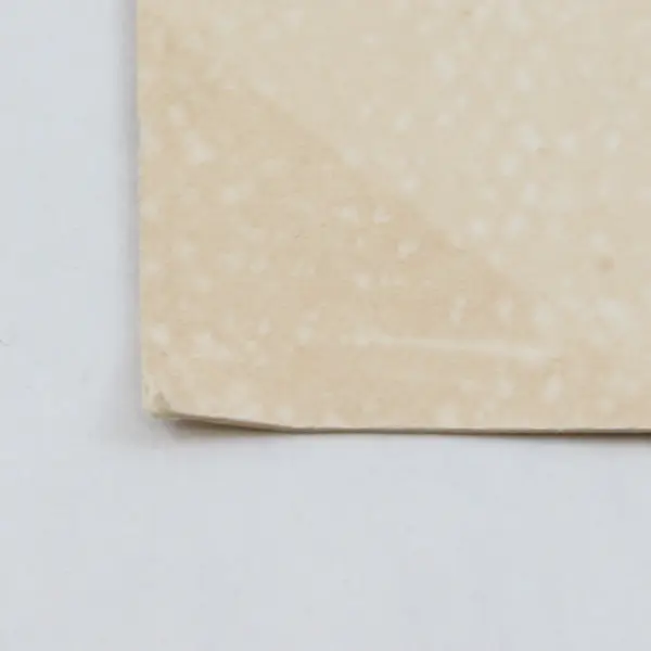 Post Office Salem Oregon Colorized Litho Postcard WM Burghardt Co Circa 1910