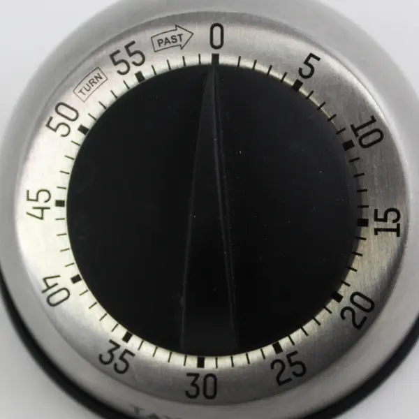 Taylor Stainless Steel 60 Minute Wind Up Mechanical Timer