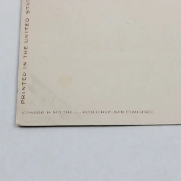 Seaside House Seaside Oregon Color Litho Postcard 1910s Hotel