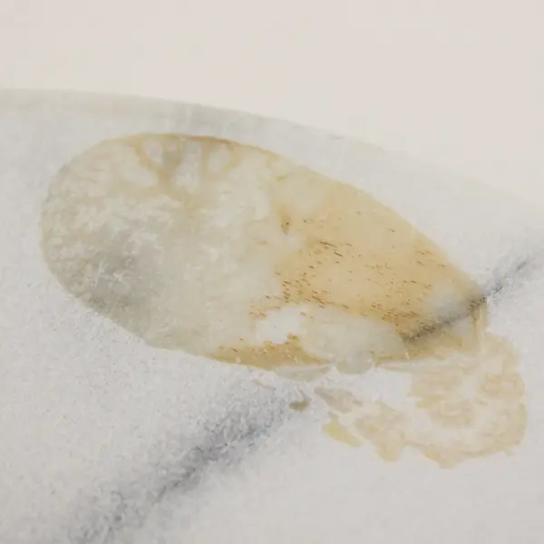 Unbranded Round Solid Slab Of White Marble Stone 14.25" x 14.25" x 0.75"