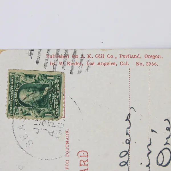 Pacific Pier From Moore Hotel Seaside Oregon Color Litho Postcard 1910s 