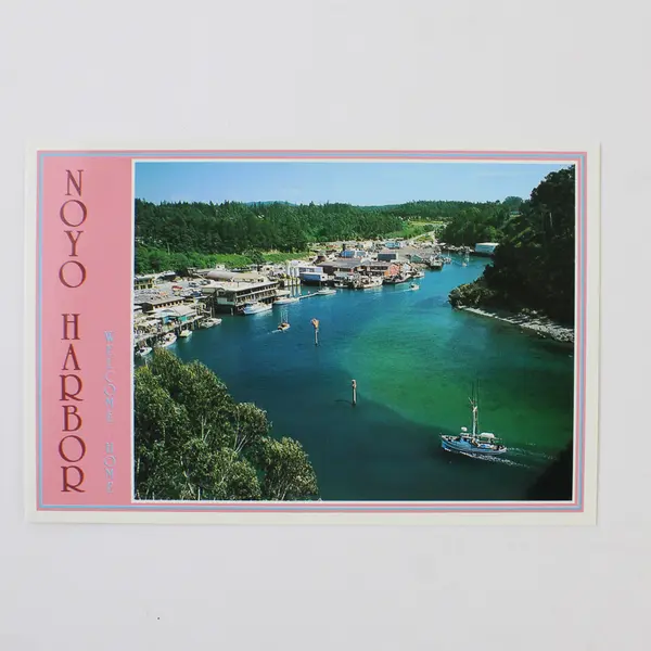 Lot Of 3 Vintage Fort Bragg California Postcards Scenic Views