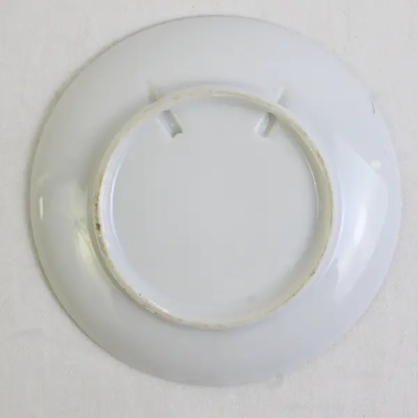 Vintage Mini Souvenir Plate Montana Landmarks
