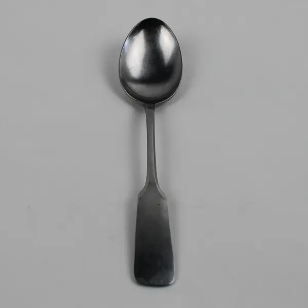 SCC Towle Silver TWS501 Fiddle Shape Pattern Stainless Serving Spoon 8.5" HTF