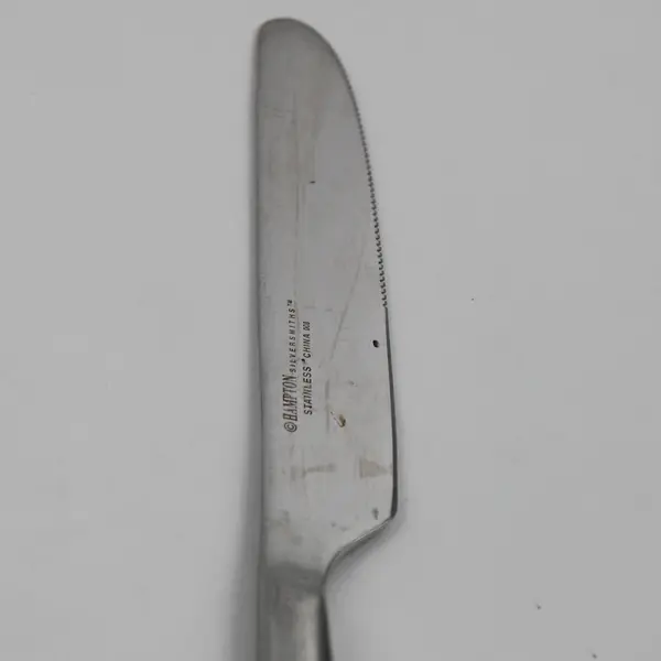 Lot of 4 Hampton Silversmiths Marguerite Pattern SS Dinner Knives 9" Good