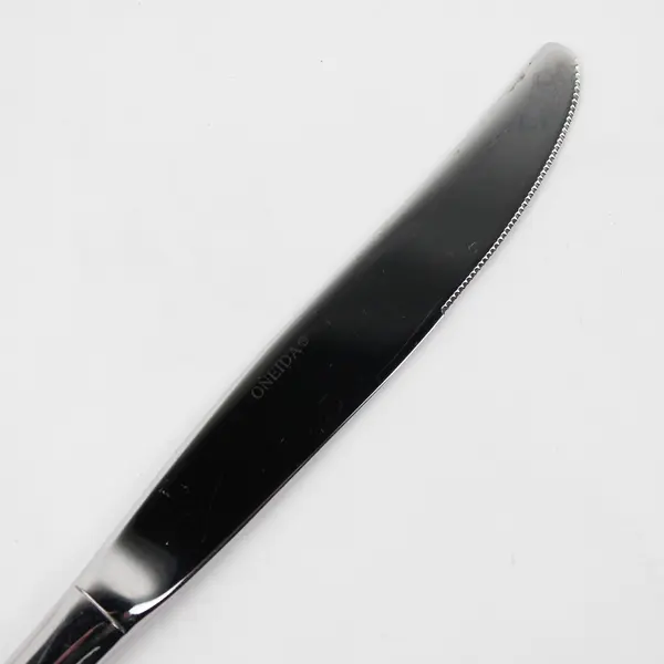 Lot of 4 Oneida Silver Satin Sand Dune Pattern SS Solid Dinner Knives 9.25" Good