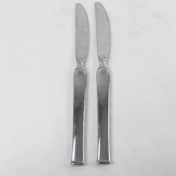 Set of 2 Oneida Simplicity Stainless Steel Modern Solid Dinner Knives 