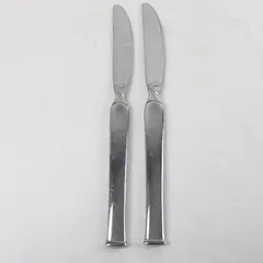 Set of 2 Oneida Simplicity Stainless Steel Modern Solid Dinner Knives 