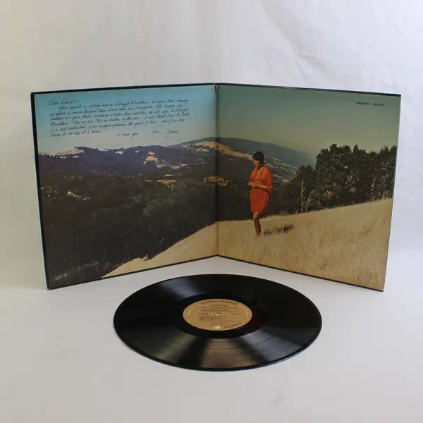 Joan Baez One Day At A Time 12" Vinyl Record