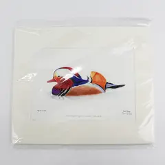 LE 2018 Watercolor Painting Mandarin Duck By Flynn and Forest Conyers 10" x 12"