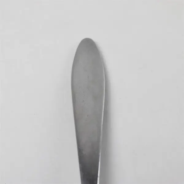 Set of 2 Oneida Trista Stainless Place/Oval Soup Spoons