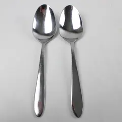 Set of 2 Oneida Trista Stainless Tablespoons