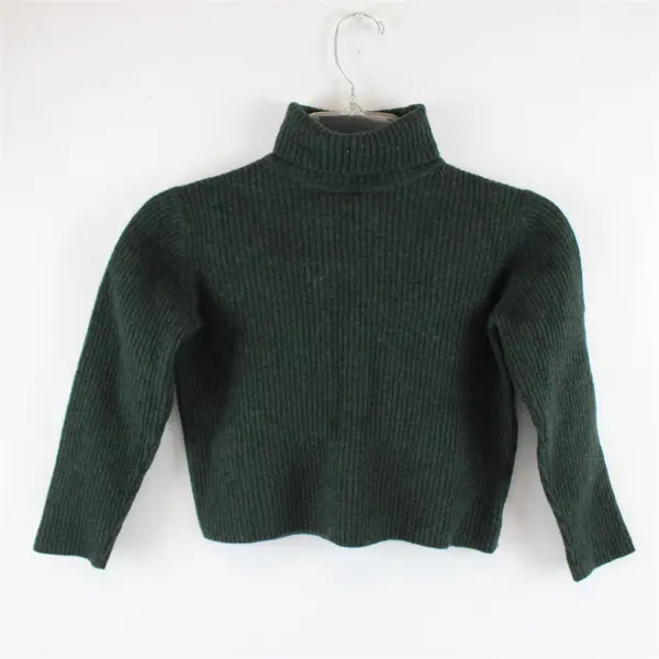 Eddie Bauer Dark Green Knit Turtleneck Sweater 100% Merino Wool Women's M