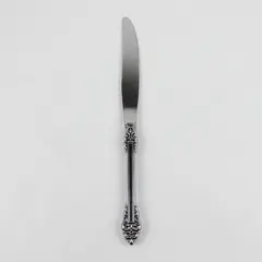 Oneida Silver Rembrandt Pattern Stainless Heirloom Dinner Knife 9" Good