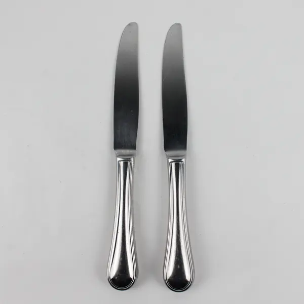 Lot of 2 Pottery Barn Flatware PBN40 Pattern Hollow Dinner Knives 9.75" Rare HTF