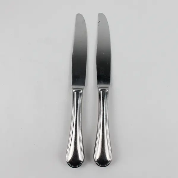Lot of 2 Pottery Barn Flatware PBN40 Pattern Hollow Dinner Knives 9.75" Rare HTF