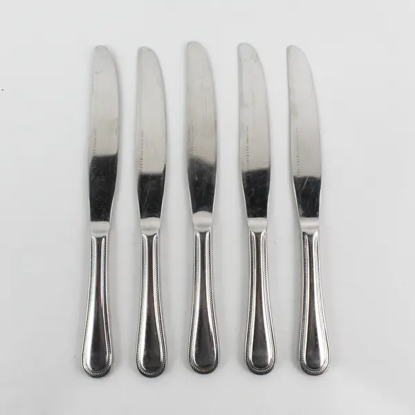 Lot of 5 Pottery Barn PBN23 Pattern 18/8 SS Solid Dinner Knives 9" Rare HTF Pat