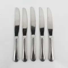 Lot of 5 Pottery Barn PBN23 Pattern 18/8 SS Solid Dinner Knives 9" Rare HTF Pat