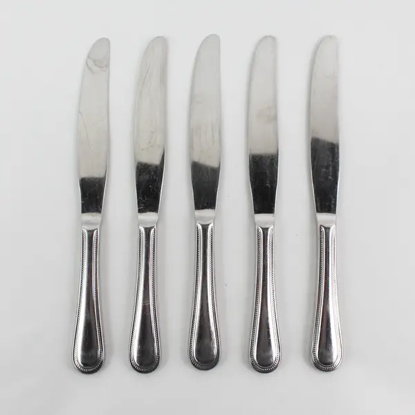 Lot of 5 Pottery Barn PBN23 Pattern 18/8 SS Solid Dinner Knives 9" Rare HTF Pat