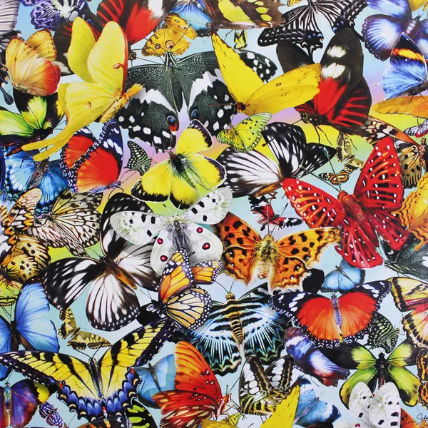 Butterflies in the Round  1,000 pc. Jigsaw Puzzle, #34953, Complete 
