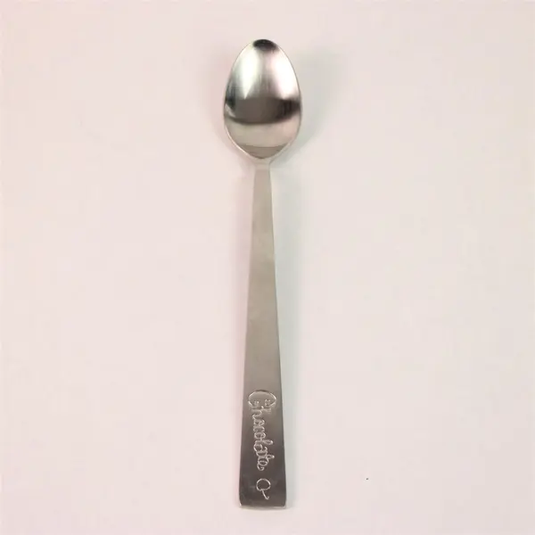 Pottery Barn Atlas-Satin Pattern 18/8 SS Engraved Ice Cream Spoon 8" Rare Piece