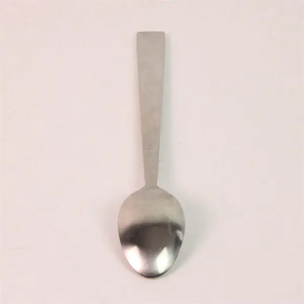 Pottery Barn Atlas-Satin Pattern 18/8 SS Engraved Ice Cream Spoon 8" Rare Piece