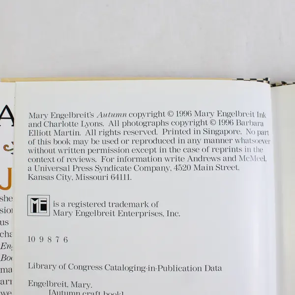 Mary Engelbreit's Autumn Craft Book 1996 Hardcover Dust Jacket Good Condition