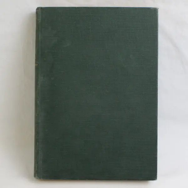 Vintage 1933 The Mark of the Beast by Sydney Watson Hardcover Novel No DJ