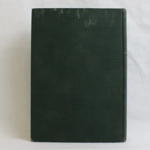 Vintage 1933 The Mark of the Beast by Sydney Watson Hardcover Novel No DJ