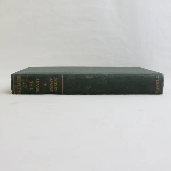 Vintage 1933 The Mark of the Beast by Sydney Watson Hardcover Novel No DJ