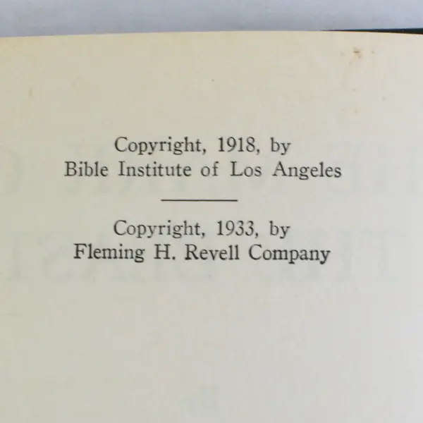 Vintage 1933 The Mark of the Beast by Sydney Watson Hardcover Novel No DJ