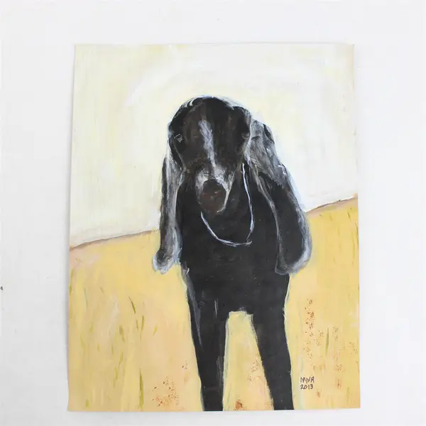 Lot of 3 Signed Mary Rash Original Animal Paintings - Giraffe, Horse, and Goat