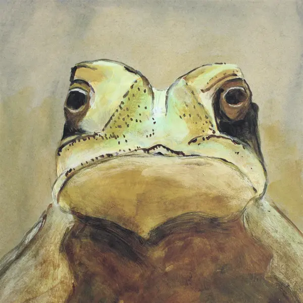 Mary Rash Thick Print Green Frog Painting Signed 2013 11.7"x8.7"