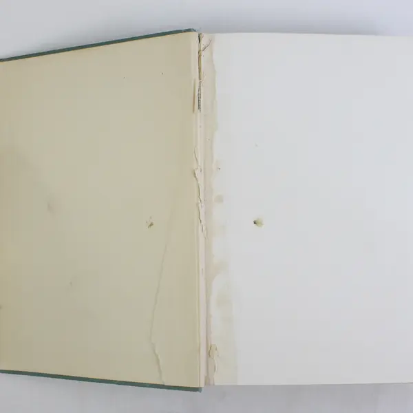Antique Standard Ed The Life and Works of Flavius Josephus William Whiston 1920s