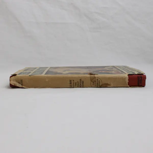 Antique The Little Washingtons Lillian E Roy Historical Fiction 1918 HC DJ