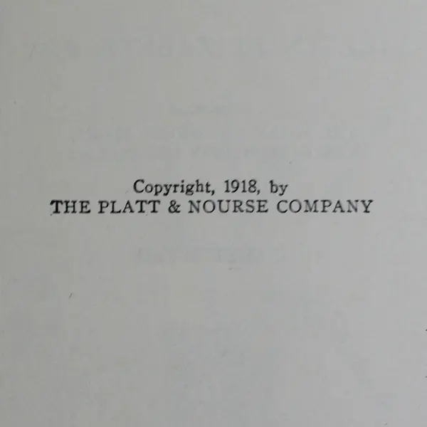 Antique The Little Washingtons Lillian E Roy Historical Fiction 1918 HC DJ