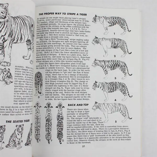 How to Draw Animals Jack Hamm Paperback (Perigee) 