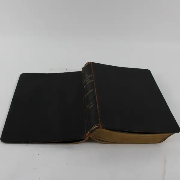 The Popular & Critical Bible Encyclopedia & Scriptural Dictionary 1920 Vol II FL