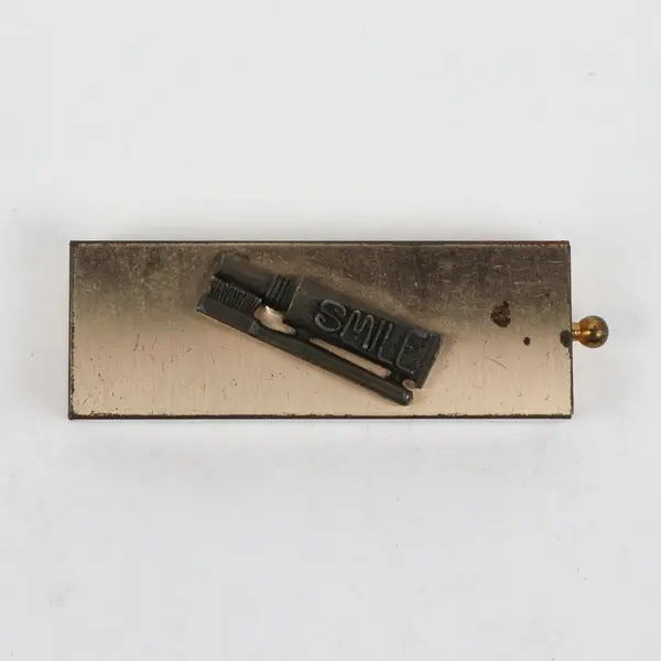 Vintage Brass Travel Toothbrush Sliding Tray Case Gold-Toned