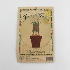 Vintage What's New Ltd From The Garden Paperwhites Iron On Applique Kit 52107