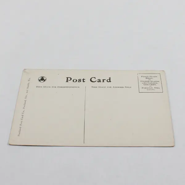 Looking Southwest Music Pavilion Alaska Yukon Expo Seattle Litho Postcard 1909