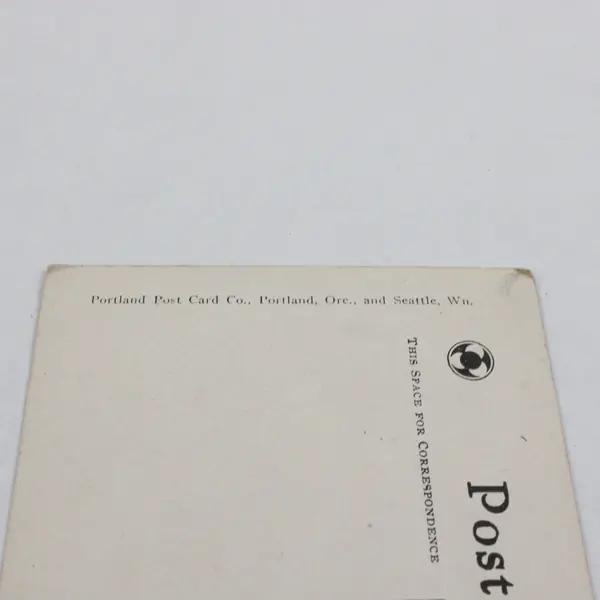 Looking Southwest Music Pavilion Alaska Yukon Expo Seattle Litho Postcard 1909