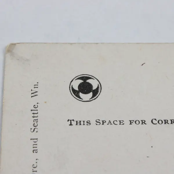 Looking Southwest Music Pavilion Alaska Yukon Expo Seattle Litho Postcard 1909