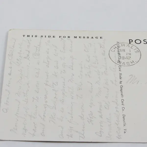 Vintage McKenzie River Highway Oregon Litho Postcard 1942