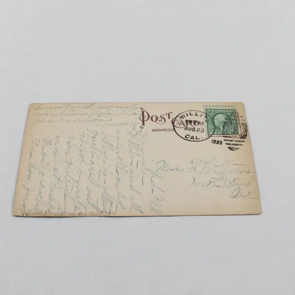 Vintage Carlotta Big Trees Near Eureka California Litho Postcard 1922 Redwoods